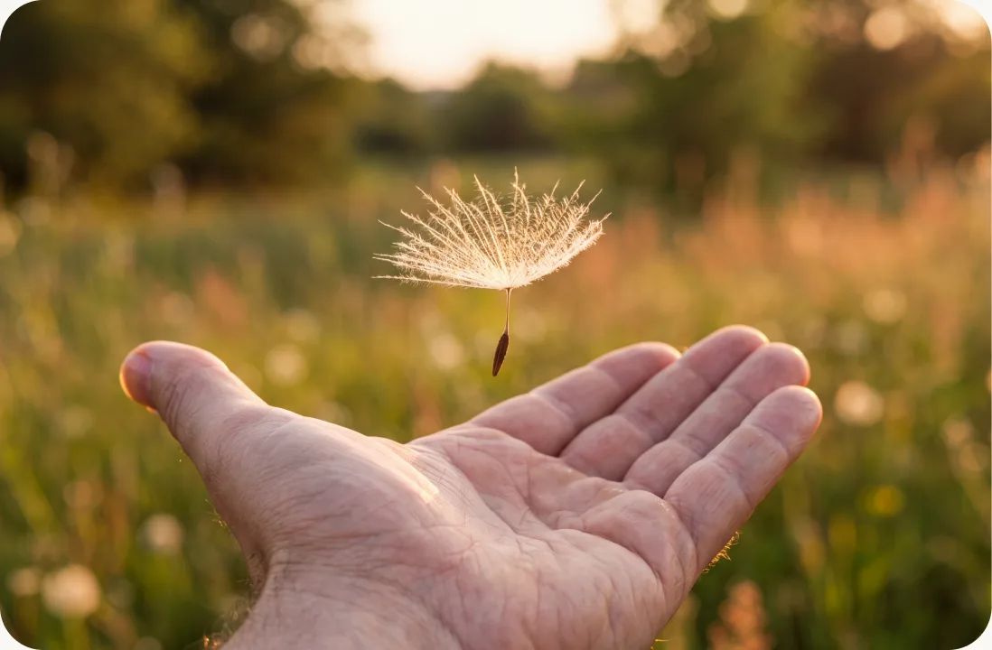 Hand holding a dandelion seed